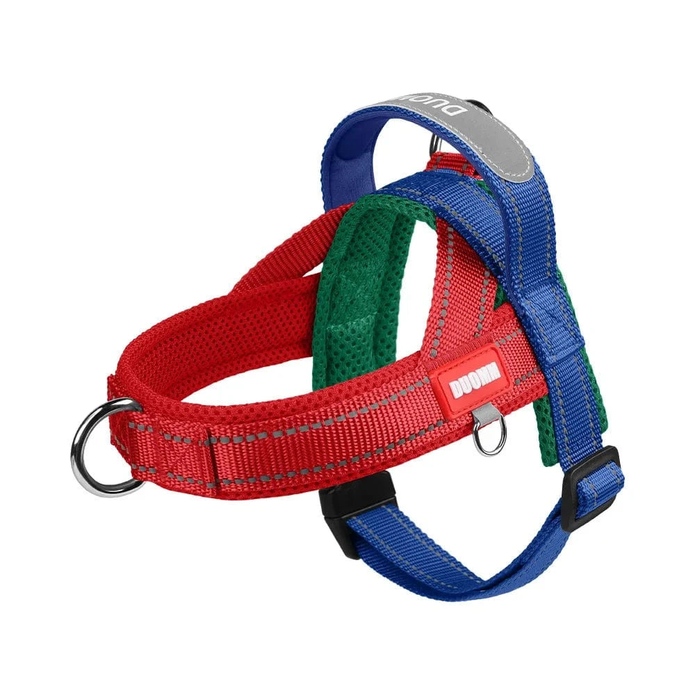 Vibrant & Stylish Harness - Furry Tail Finds
