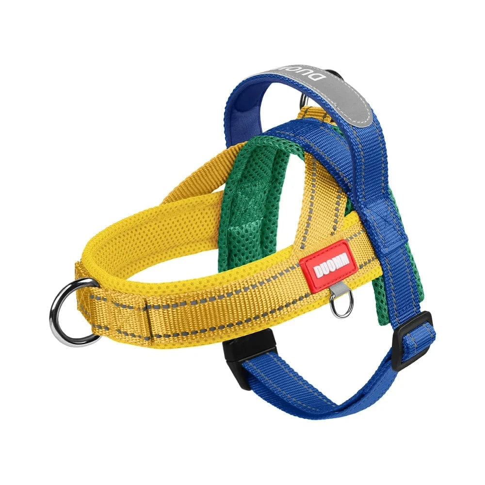 Vibrant & Stylish Harness - Furry Tail Finds