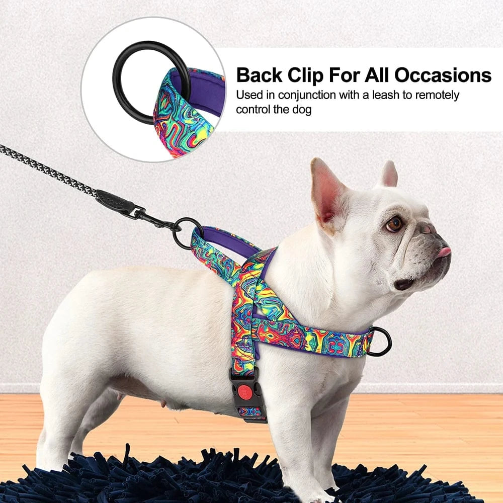 Step in Harness - Furry Tail Finds