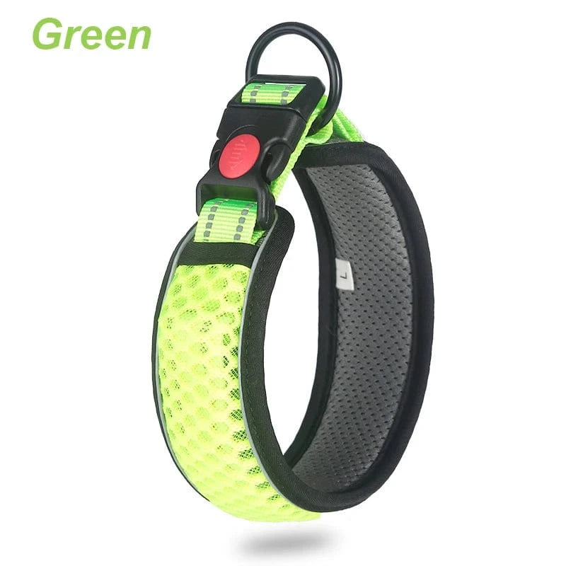 Reflective Dog Collar - Furry Tail Finds