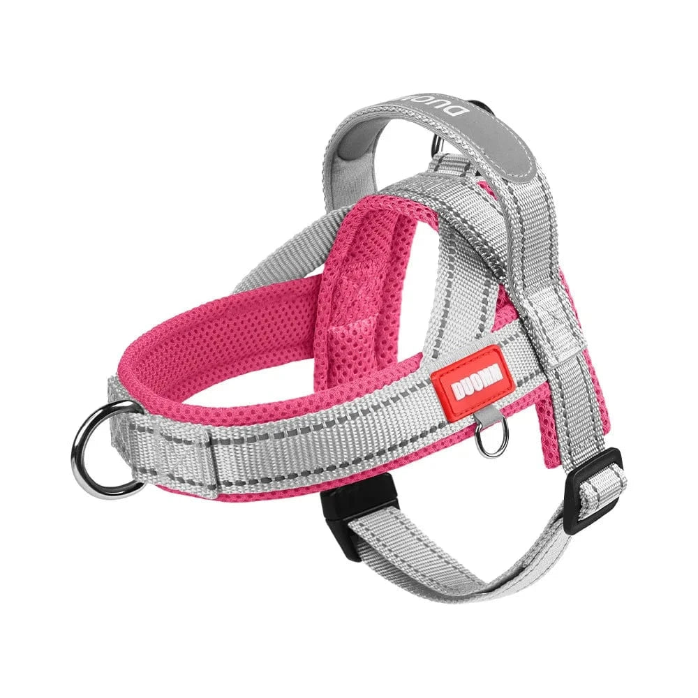 Vibrant & Stylish Harness - Furry Tail Finds