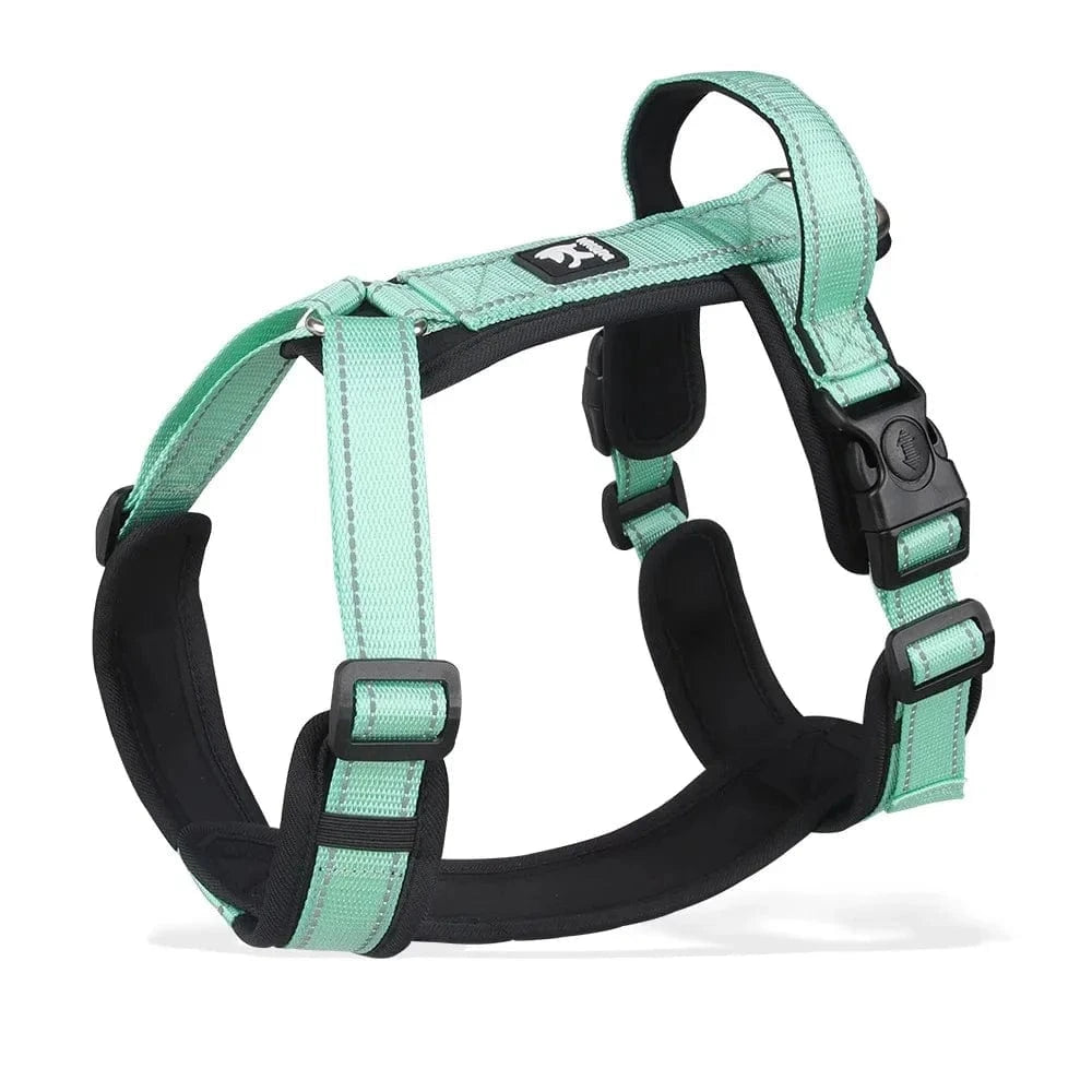 Training Anti Pull Harness - Furry Tail Finds