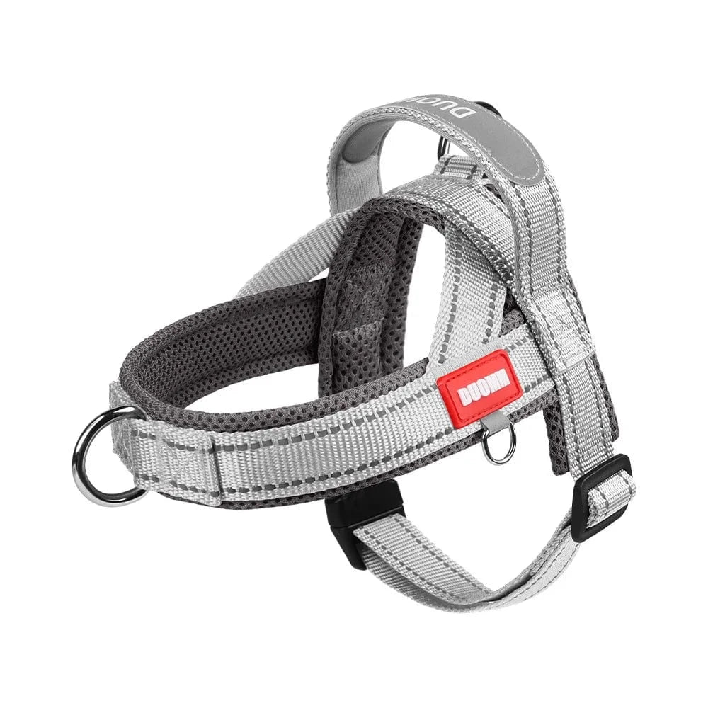 Vibrant & Stylish Harness - Furry Tail Finds