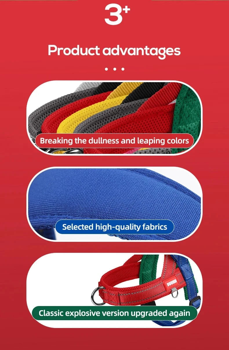 Vibrant & Stylish Harness - Furry Tail Finds