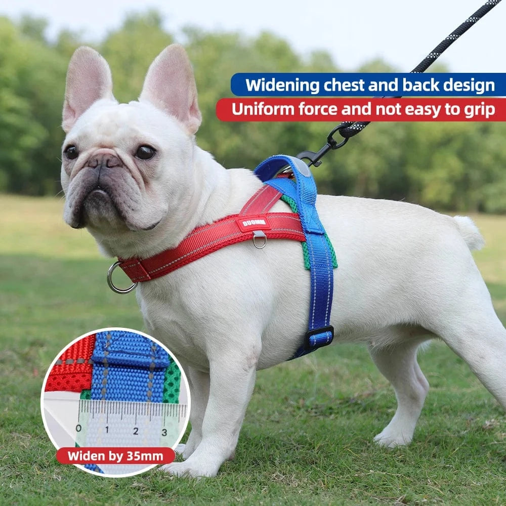 Vibrant & Stylish Harness - Furry Tail Finds