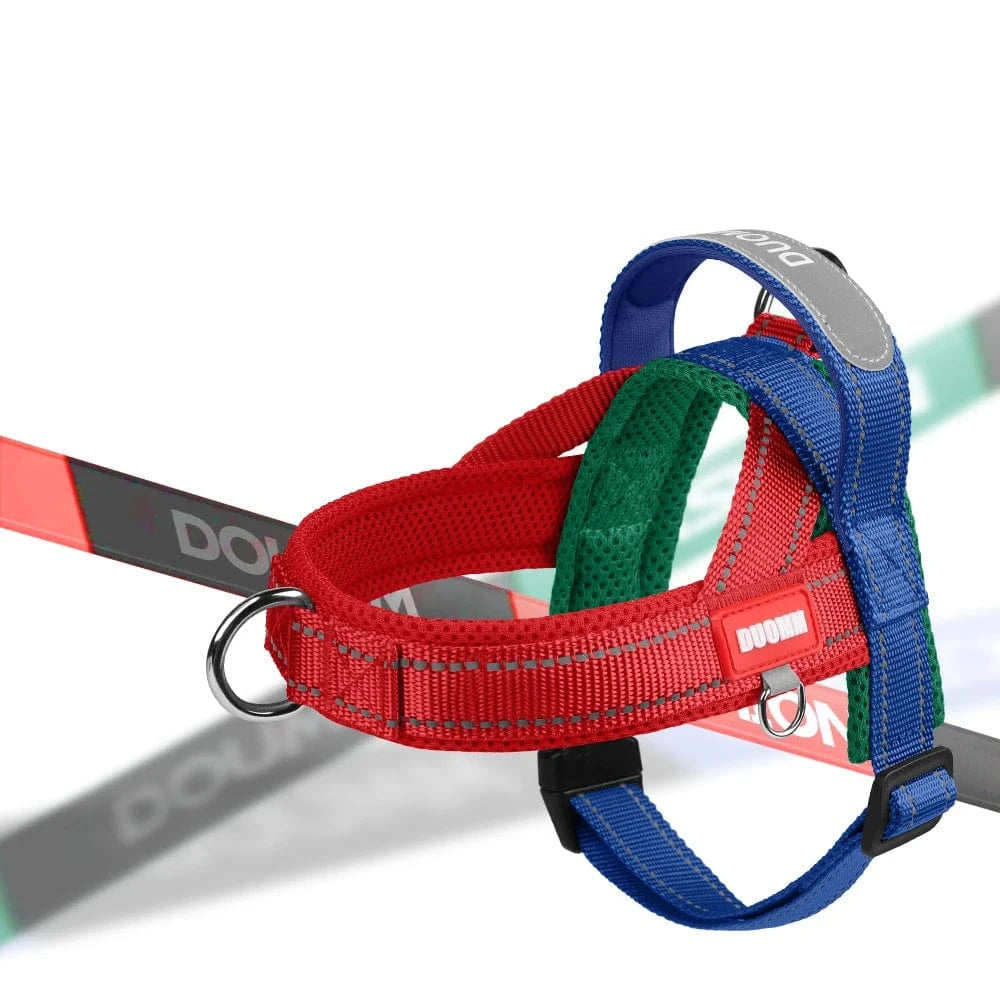 Vibrant & Stylish Harness - Furry Tail Finds