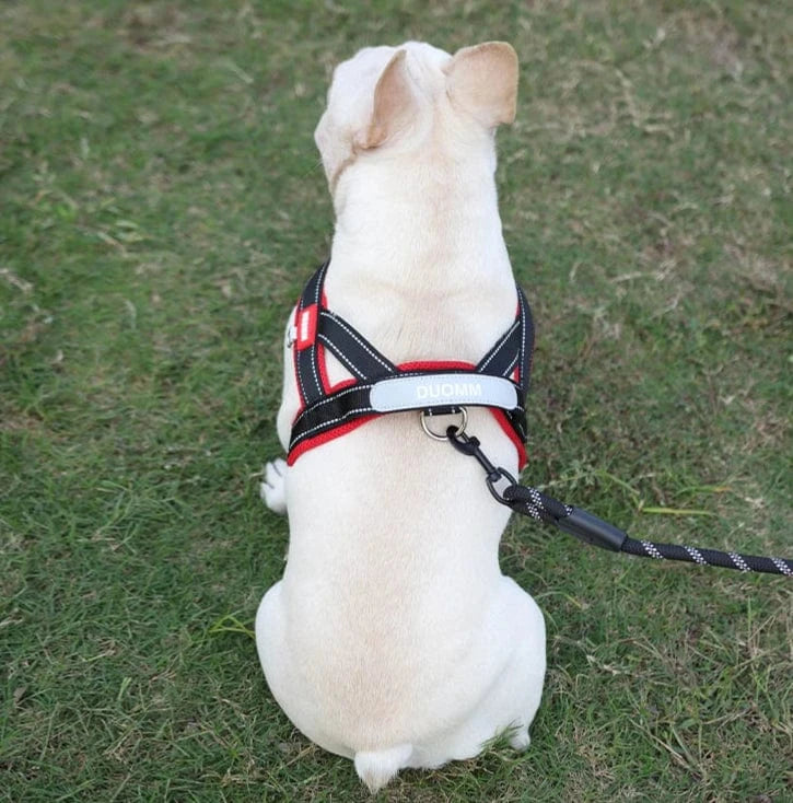 Vibrant & Stylish Harness - Furry Tail Finds