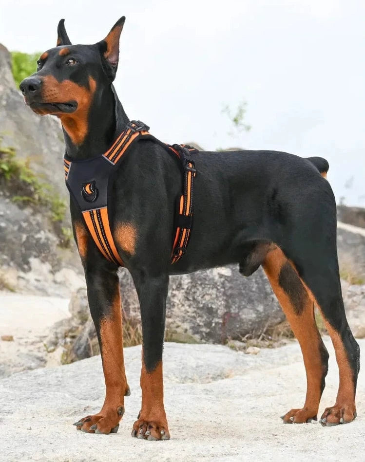 Premium Harness - Furry Tail Finds