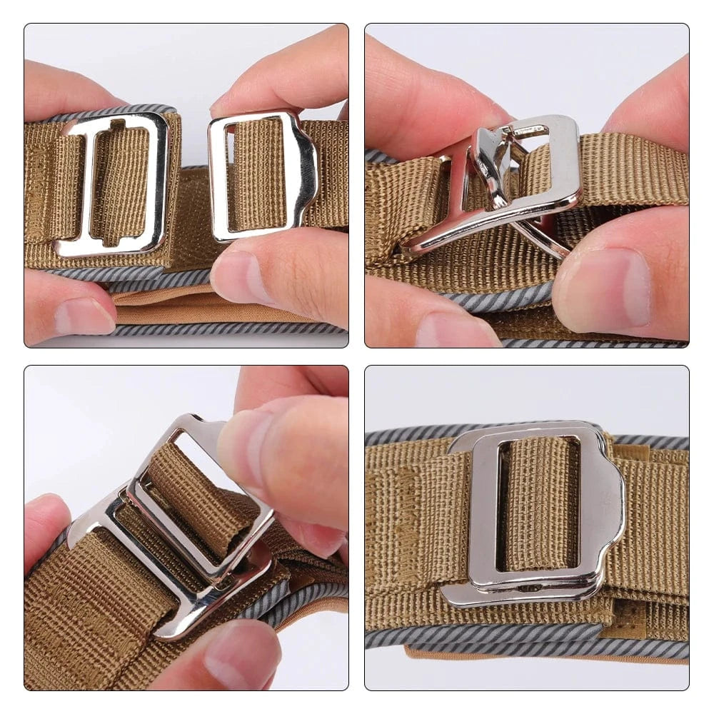 Trail-Ready Collar - Furry Tail Finds
