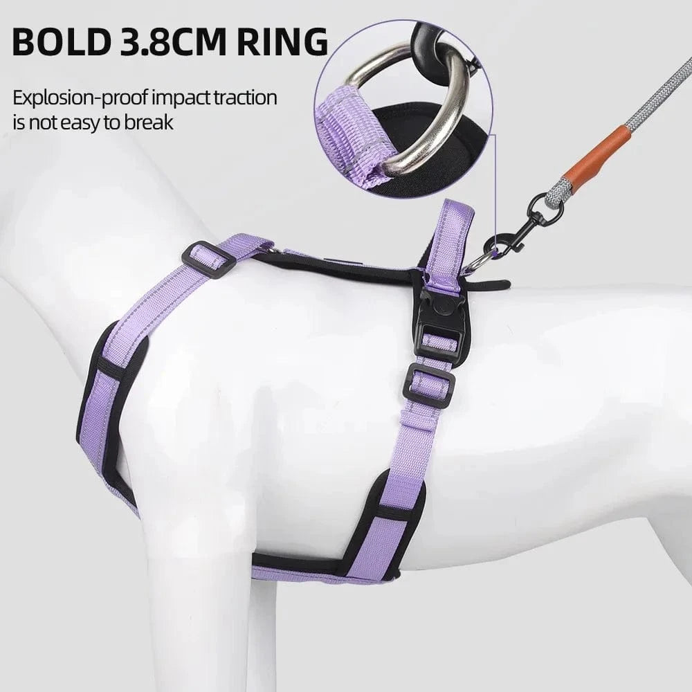 Training Anti Pull Harness - Furry Tail Finds